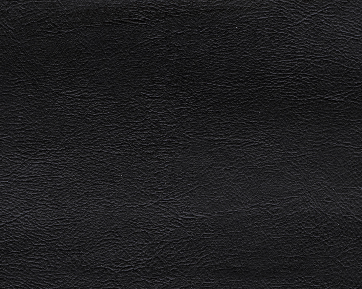 Emilia 5-Piece Leather Modular Sectional